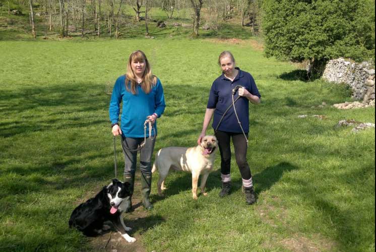 Dog walk through the Lancashire countryside