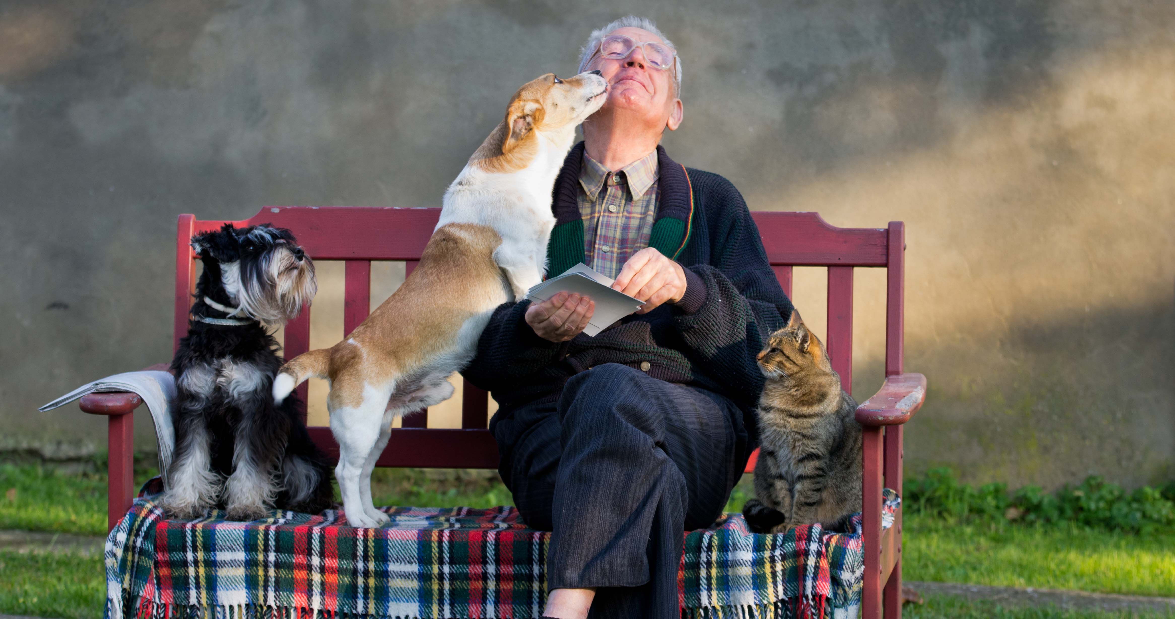Greenbank Kennels and Cattery in the Lancashire countryside